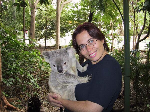 Koala knuddeln